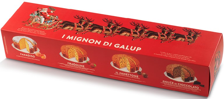 Boite de 4 mini Panettones édition Noël 4X100g X6