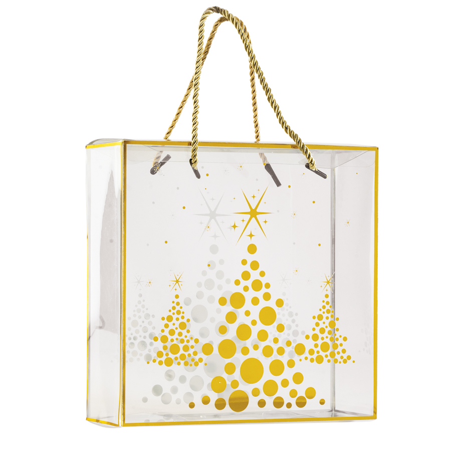 Sac boite pet sapin 22x8x22 x 12