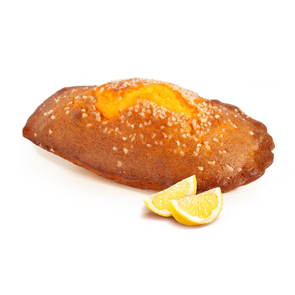 Grosse madeleine citron Saint Michel 350g X6