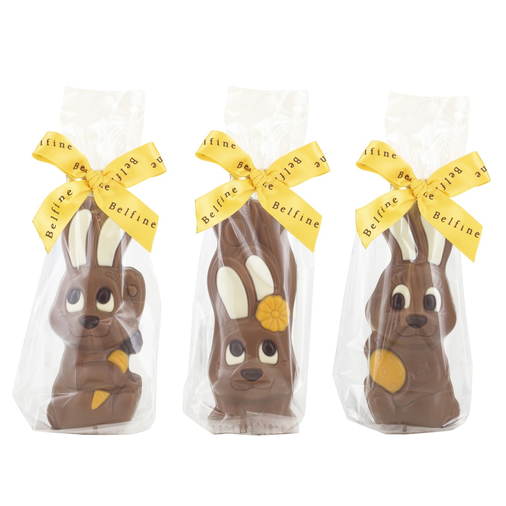 Moulages lapin 3 modèles 55g x 24