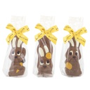 Moulages lapin 3 modèles 55g x 24